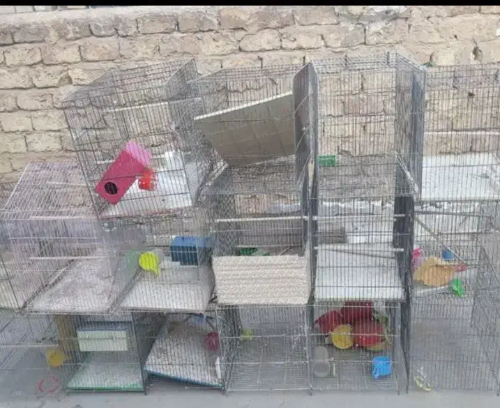 قفس جفت کن|لوازم جانبی حیوانات|قم, شهر قائم|دیوار