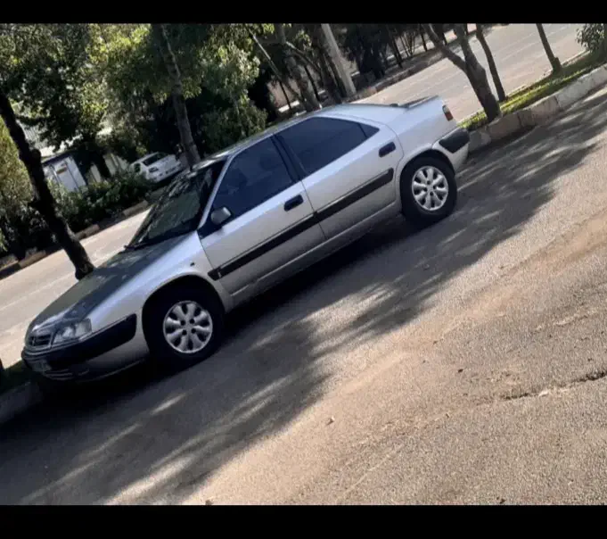 زانتیا مدل ۸۴|خودرو سواری و وانت|صحنه, |دیوار