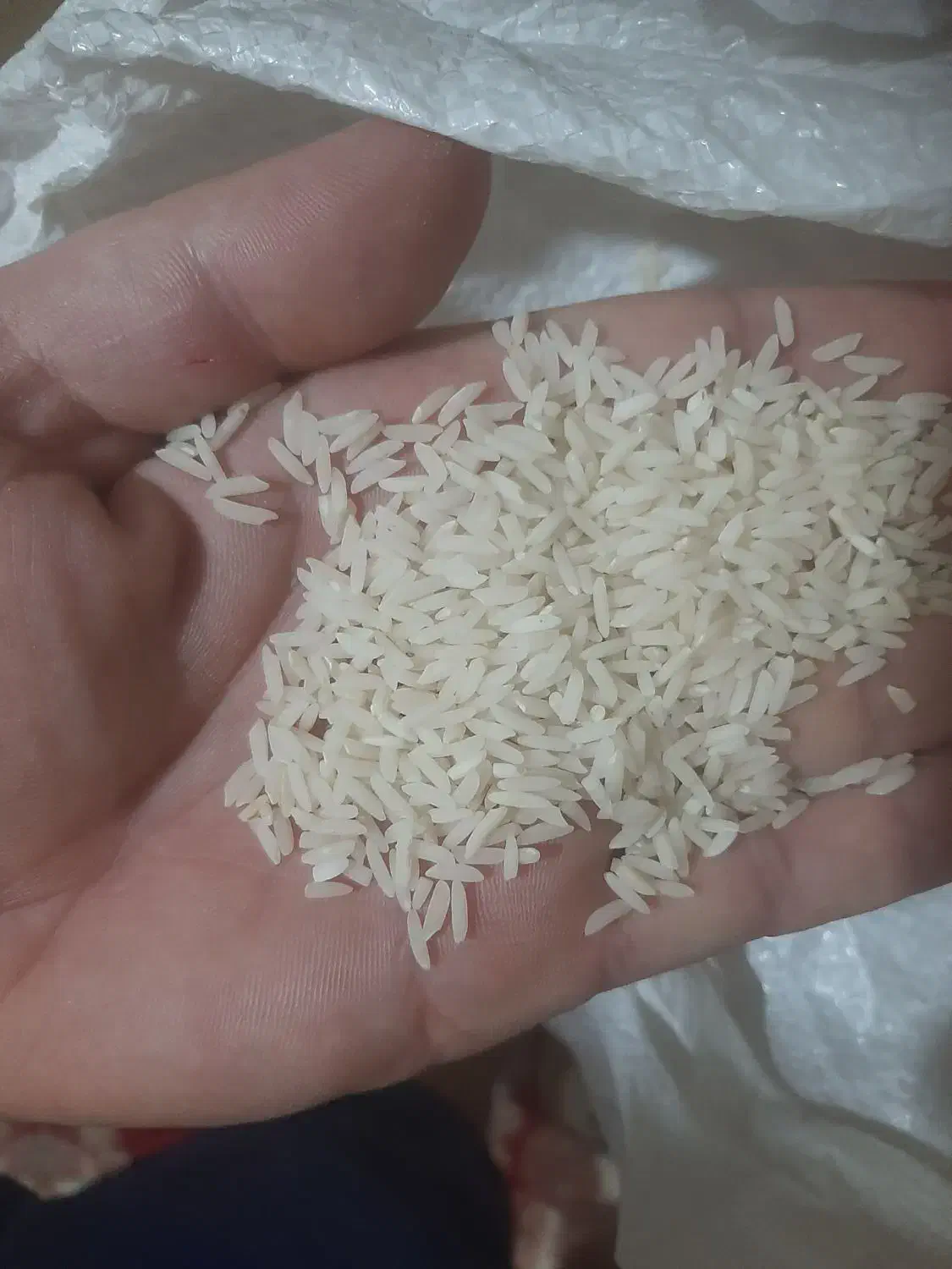 فروش برنج|خوردنی و آشامیدنی|کرج, حصارک پایین|دیوار