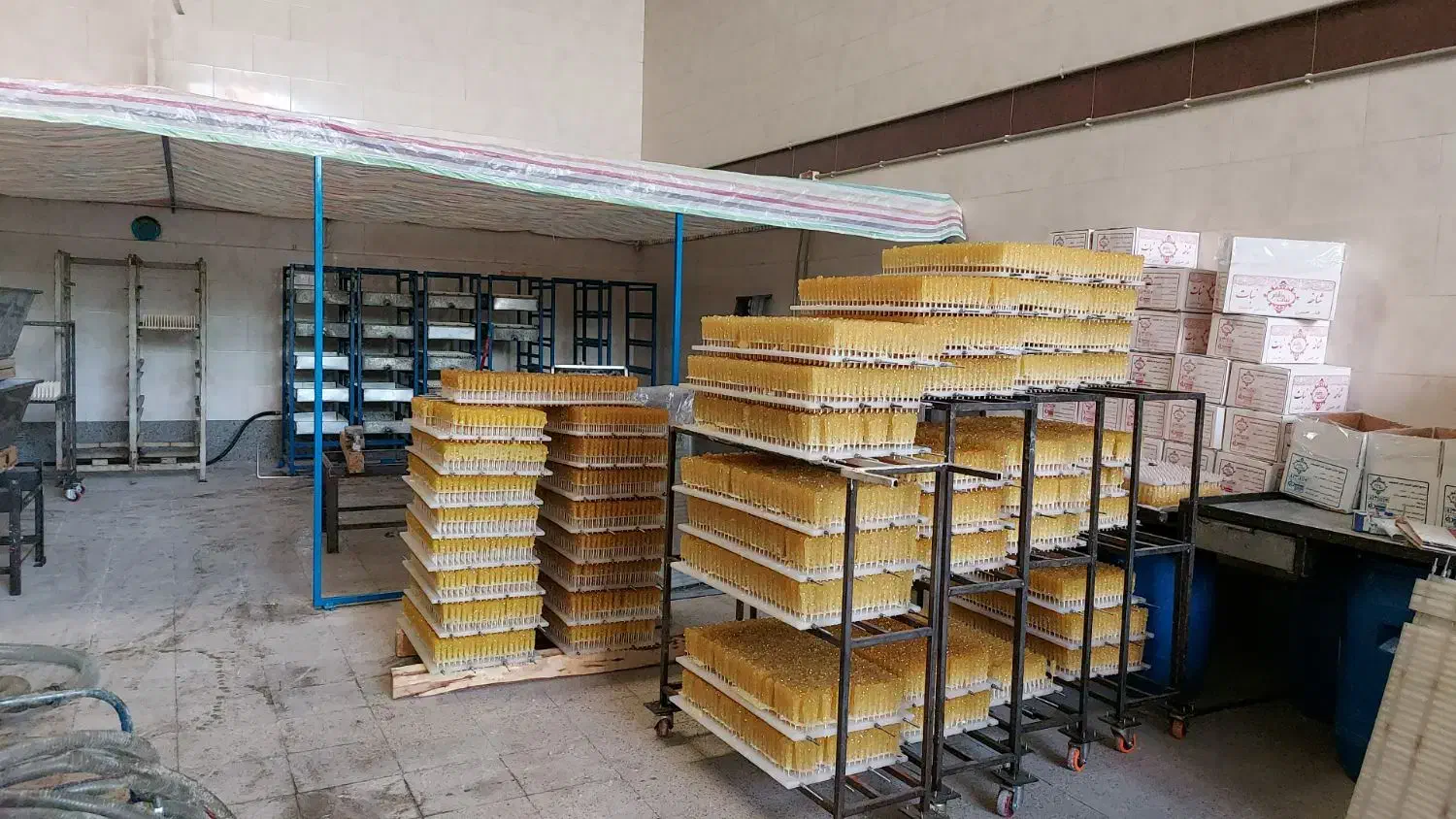 خانم بسته بندی کندرود|استخدام صنعتی، فنی، مهندسی|باسمنج, |دیوار