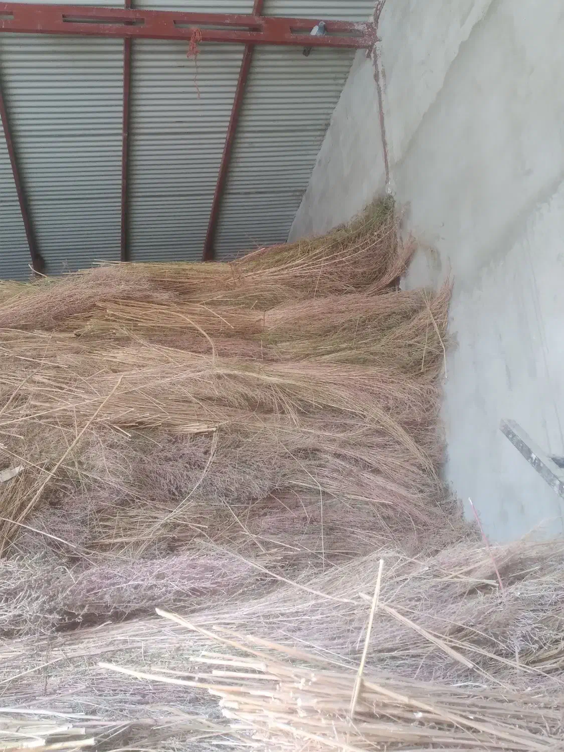 جارو مخصوص دسته|لوازم نظافت|نهاوند, |دیوار