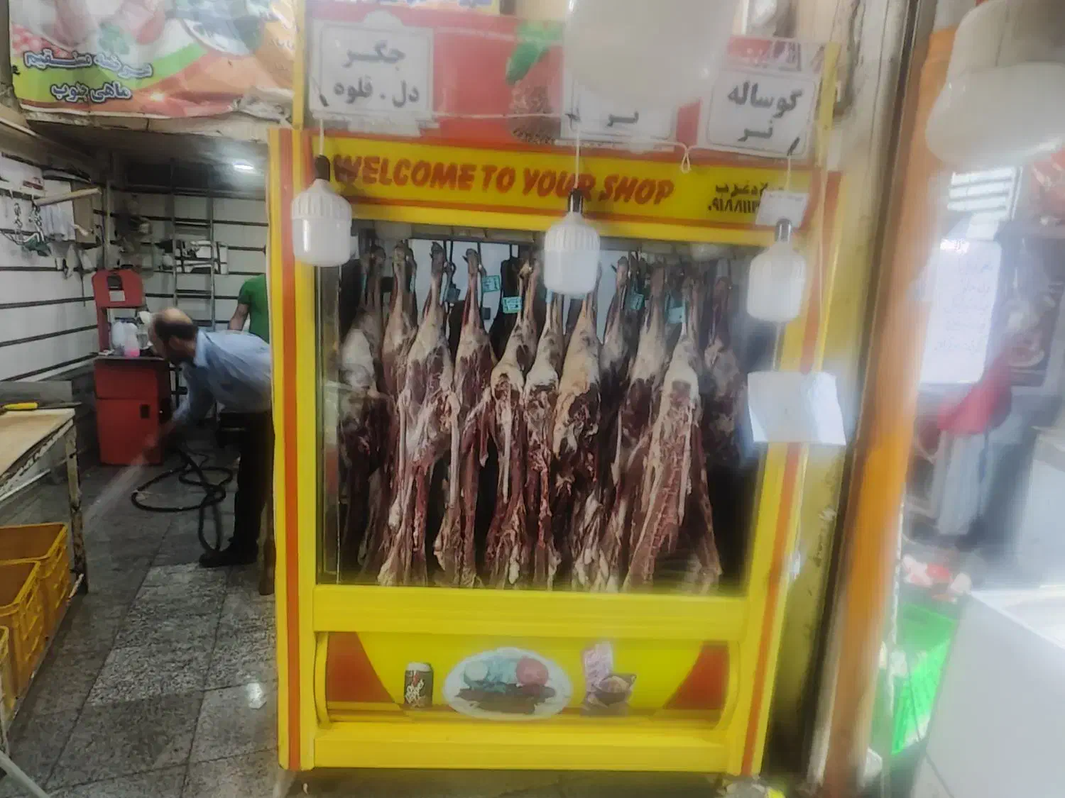 گوشت گرم گوساله گوسفندی|عمده‌فروشی|بهار, |دیوار