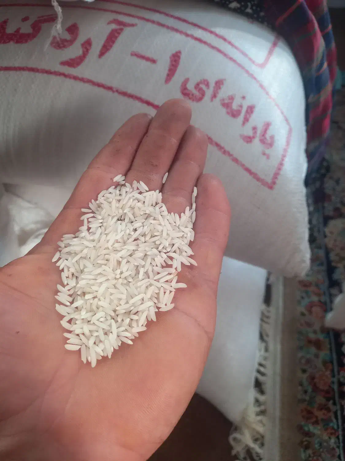 برنج هاشمی خانگی|خوردنی و آشامیدنی|واجارگاه, |دیوار