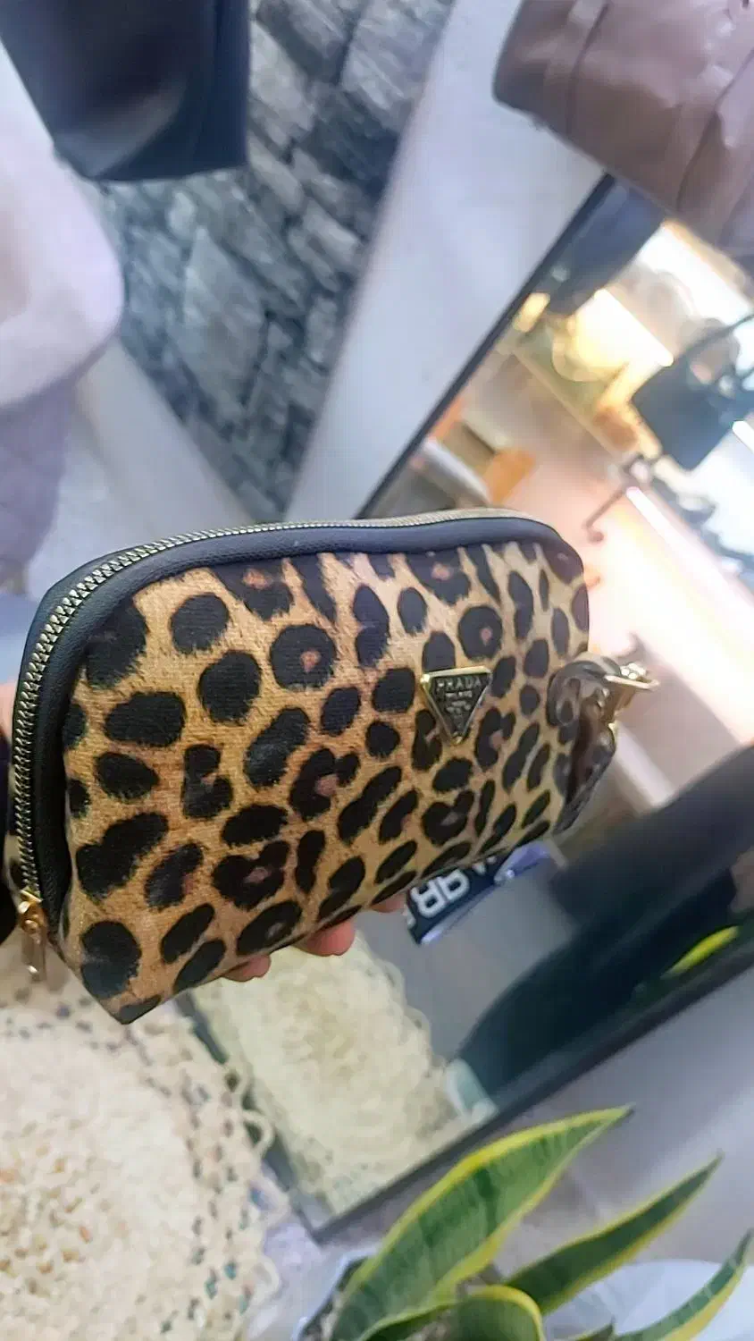 کیف وکفش|کیف، کفش، کمربند|زابل, |دیوار