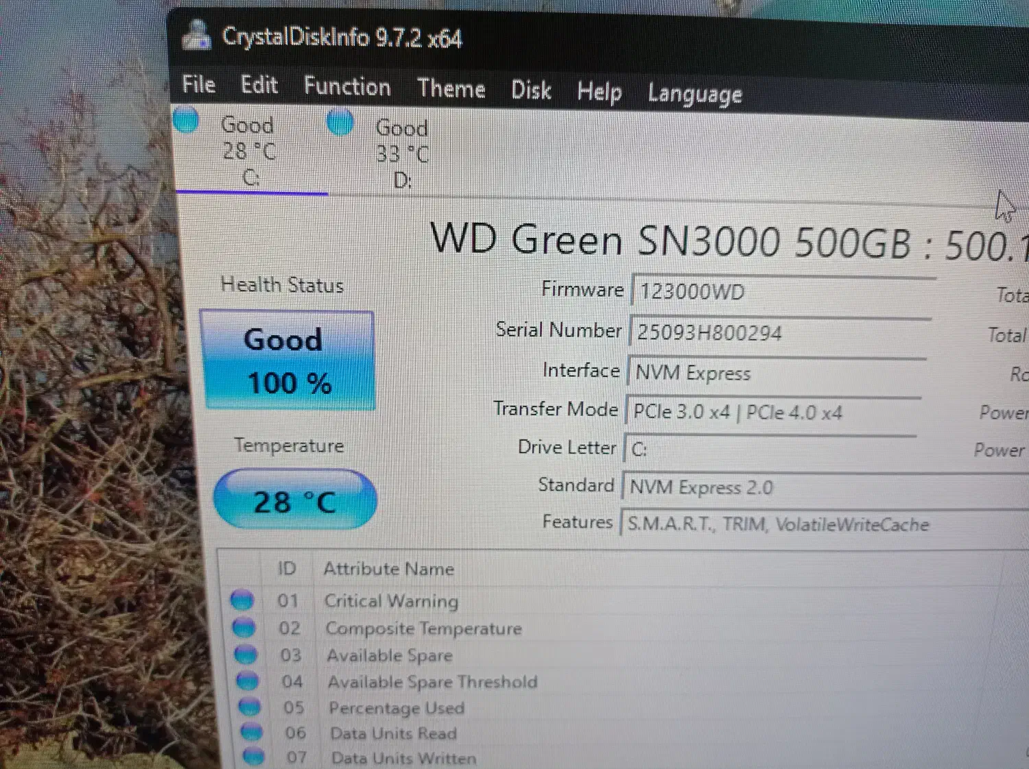 Ssd m2 wester digital green|قطعات و لوازم جانبی رایانه|بیرجند, |دیوار