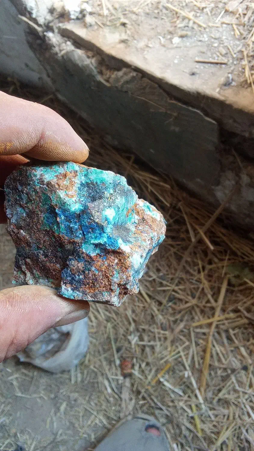 رگه طلا 120 سوت پاتکی اندریگان|جواهرات|خاروانا, |دیوار