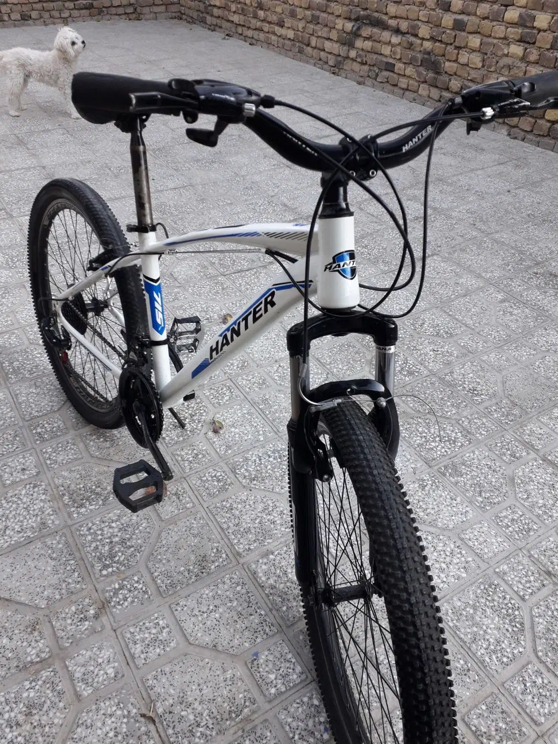 دوچرخه ۲۶هانتردرحدنو|دوچرخه، اسکیت، اسکوتر|کبودرآهنگ, |دیوار