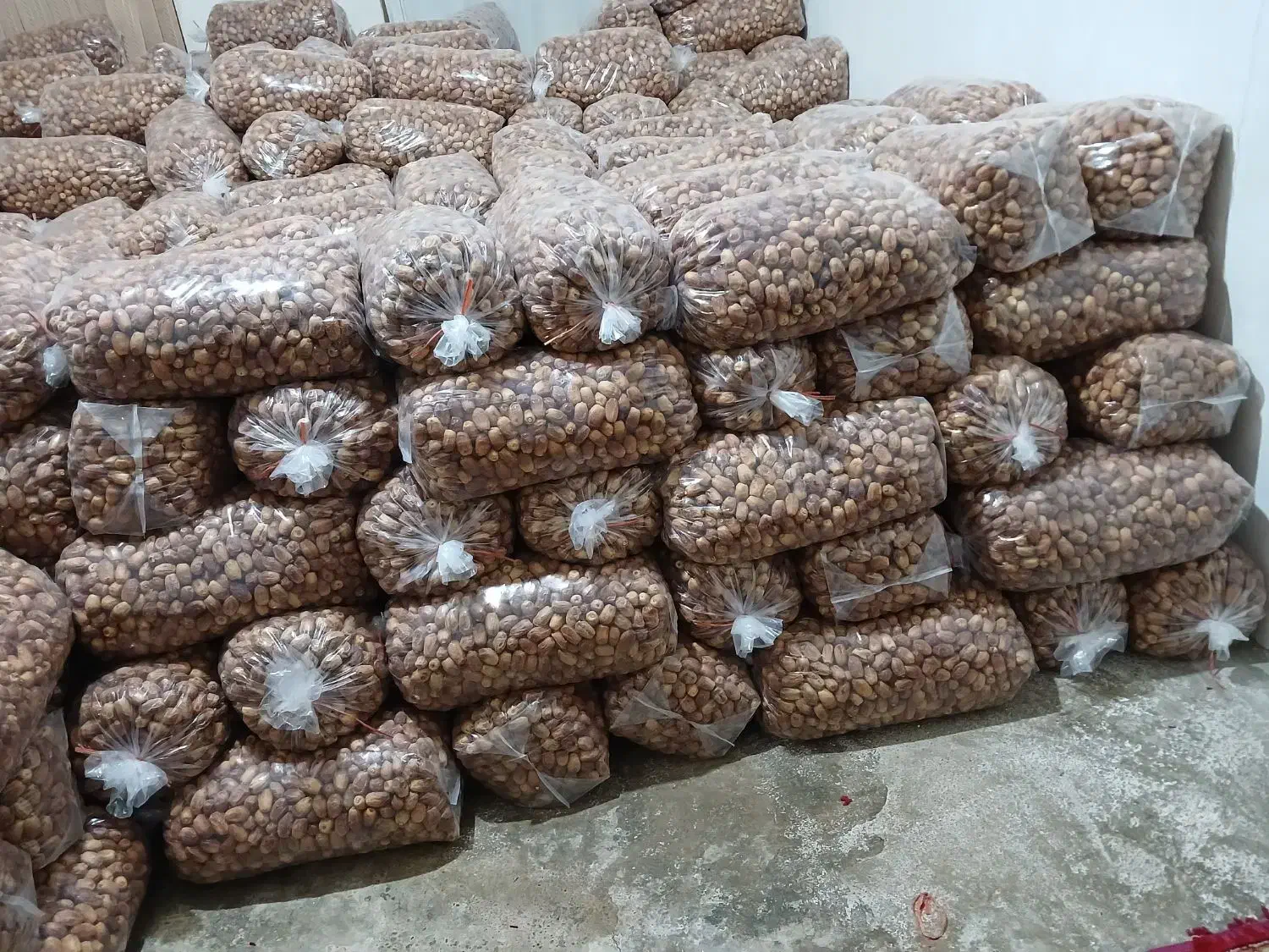 فروش خرما قصر|عمدهفروشی|سرپل ذهاب, |دیوار