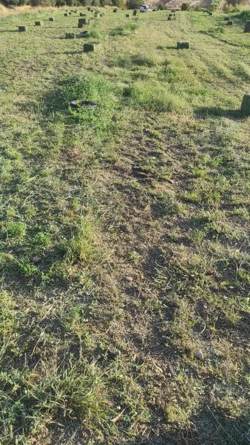 یونجه|لوازم جانبی حیوانات|خرم‌آباد, |دیوار