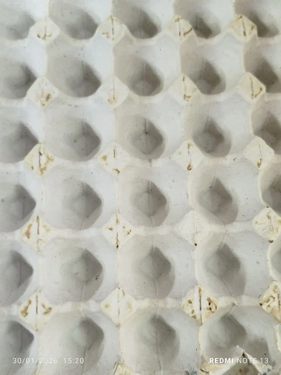 شانه تخم مرغی|ظروف نگهدارنده، پلاستیکی، یکبارمصرف|یزد, |دیوار