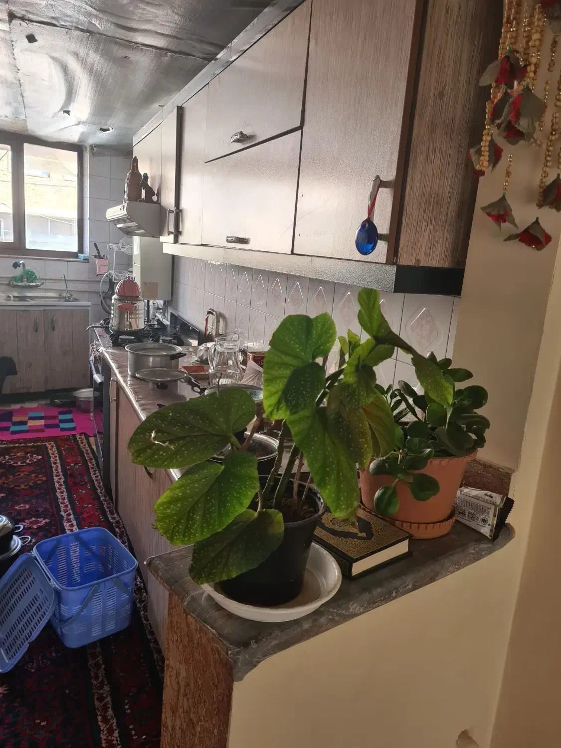 اجاره آپارتمان ۸۸متر در صوفیان|اجارهٔ آپارتمان|صوفیان, |دیوار