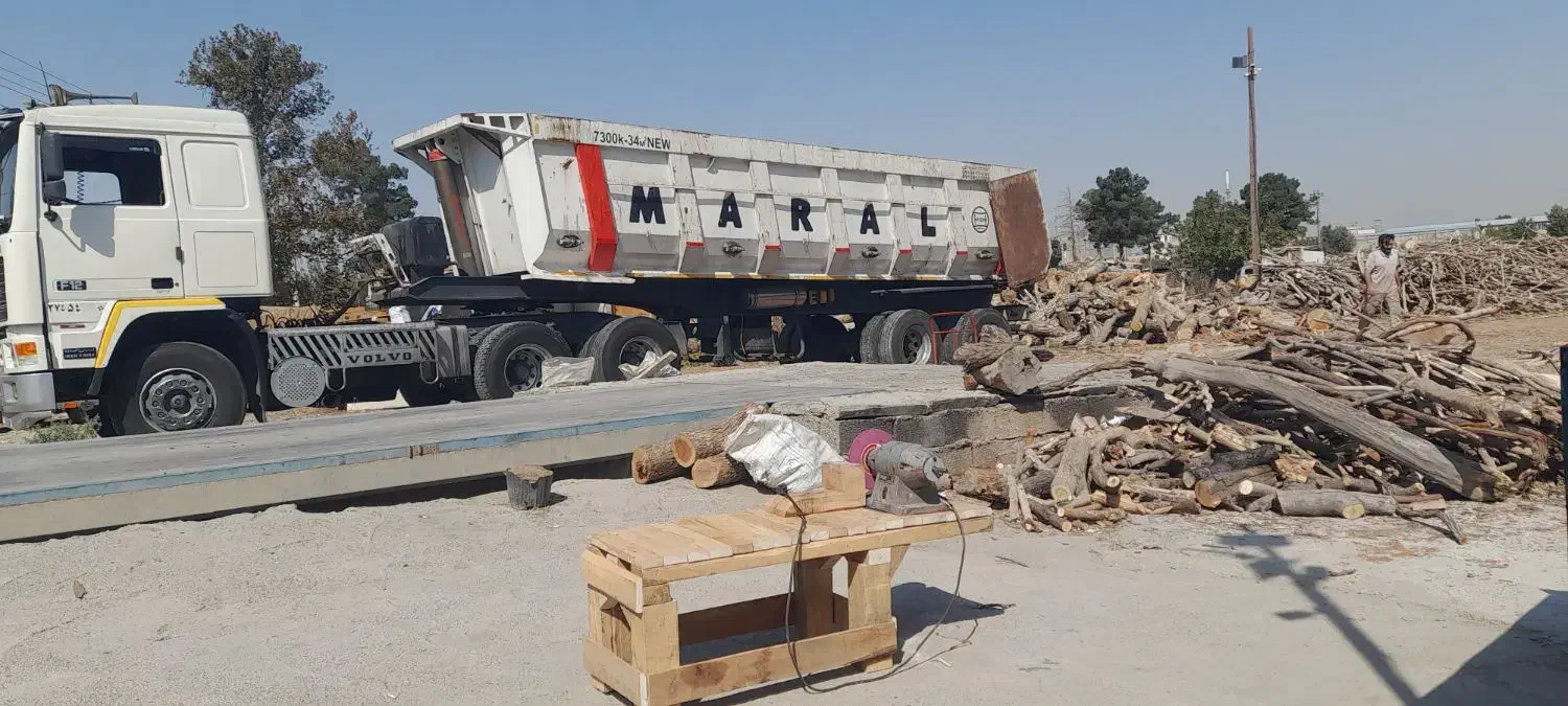 خریدار چوب انواع درخت سر برداری درختان جنگلی|خدمات باغبانی و درختکاری|شهریار, رامین|دیوار