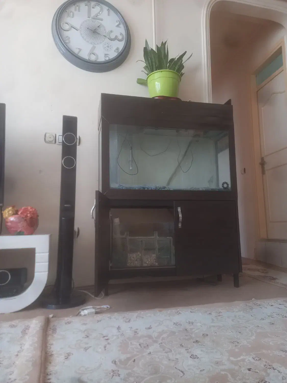 فروش اگواریوم|ماهی|ماکو, |دیوار