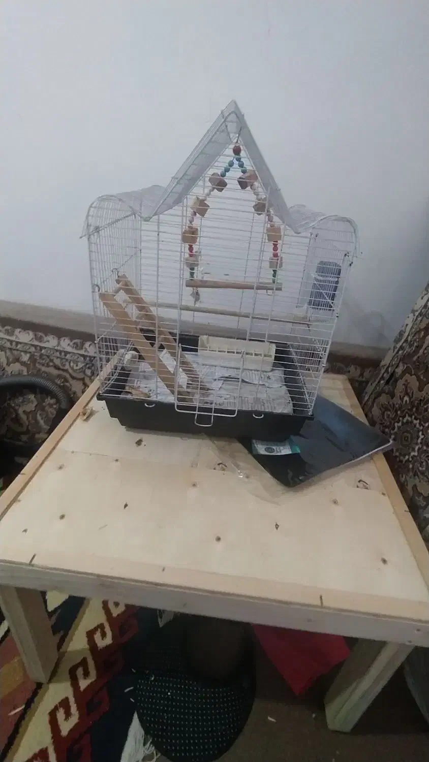 قفس پرنده|لوازم جانبی حیوانات|کرج, خرمدشت|دیوار