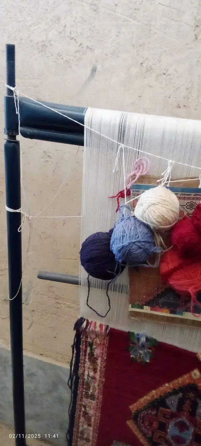 دارقالی باقالی ۵۰ درصدبافته شده|فرش|جهرم, |دیوار