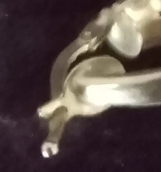 گوشواره گم شده است|جواهرات|گرگان, |دیوار