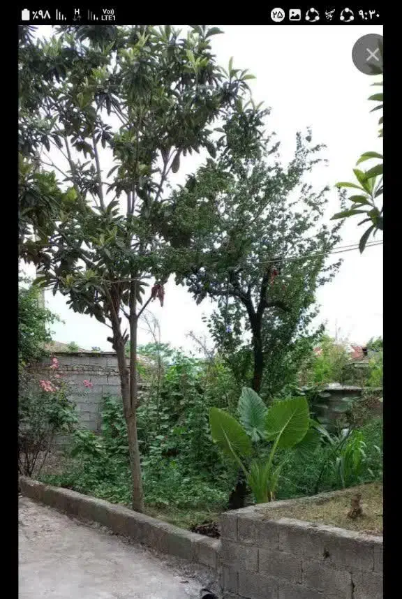 اجاره سوییت درحومه رشت شفت با تمام امکانات|اجارهٔ کوتاه‌مدت آپارتمان و سوئیت|شفت, |دیوار