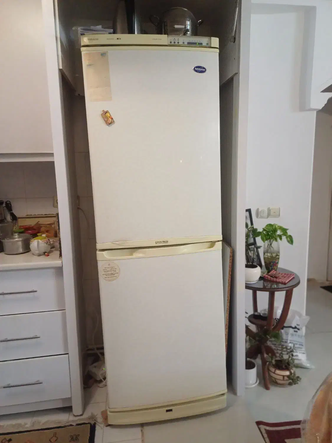 یخچال و فریزر|یخچال و فریزر|مشهد, پردیس|دیوار