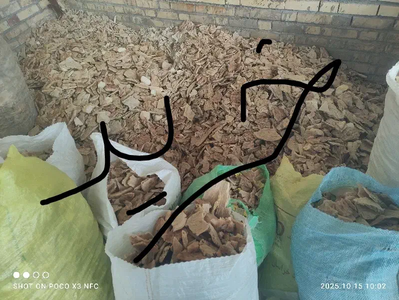 نون خشک|لوازم جانبی حیوانات|مشهد, هفده شهریور|دیوار