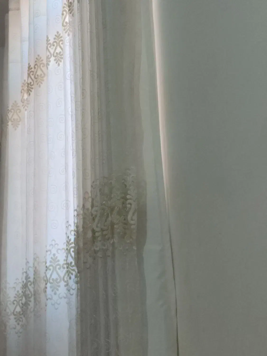 نظافت ساختمان و باغبانی حرفه ای|خدمات نظافت|چمران, |دیوار