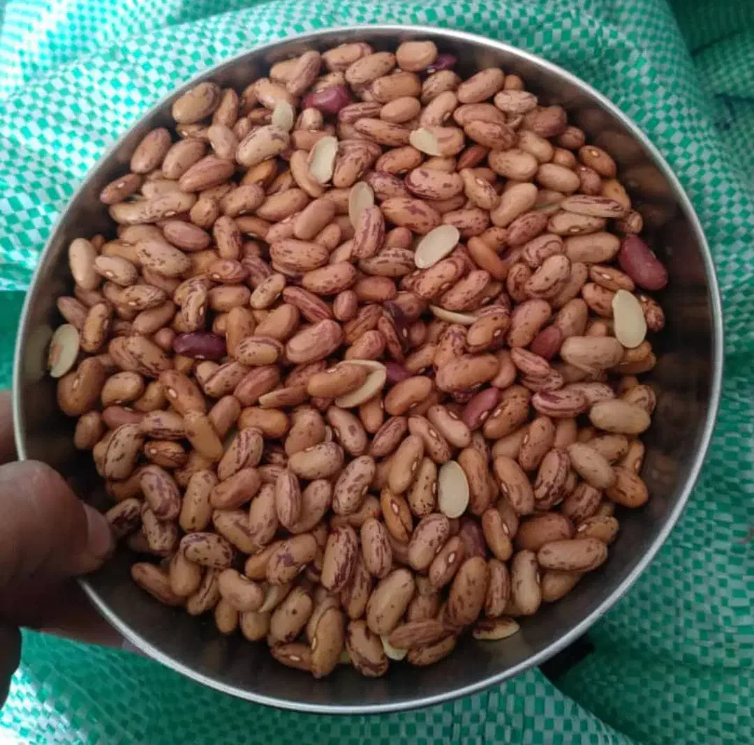 لوبیا چیتی ازبکی|خوردنی و آشامیدنی|شیراز, دارالرحمه|دیوار