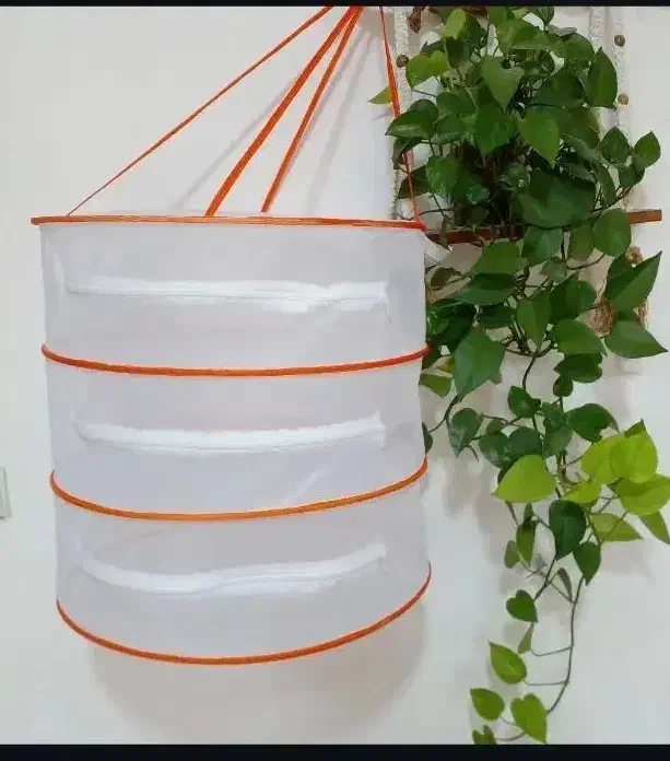 توری خشک کن سبزی و....|ظروف نگهدارنده، پلاستیکی، یکبارمصرف|شادگان, |دیوار