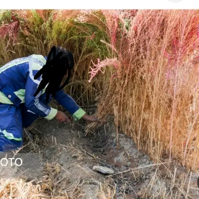 جارو|جاروبرقی، جارو شارژی، بخارشو|نورآباد, |دیوار
