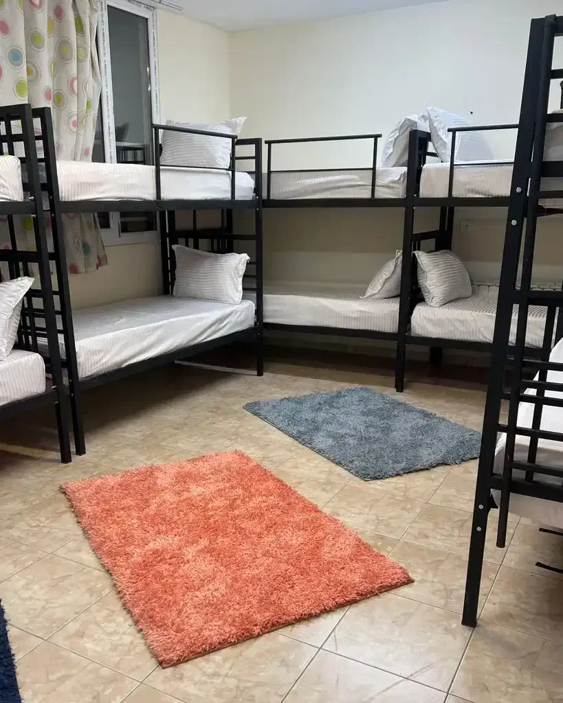 اجاره ماهانه سوییت تعداد بالاهراتاق ب متراژ۴۰ متر|اجارهٔ کوتاهمدت آپارتمان و سوئیت|بندرعباس, |دیوار