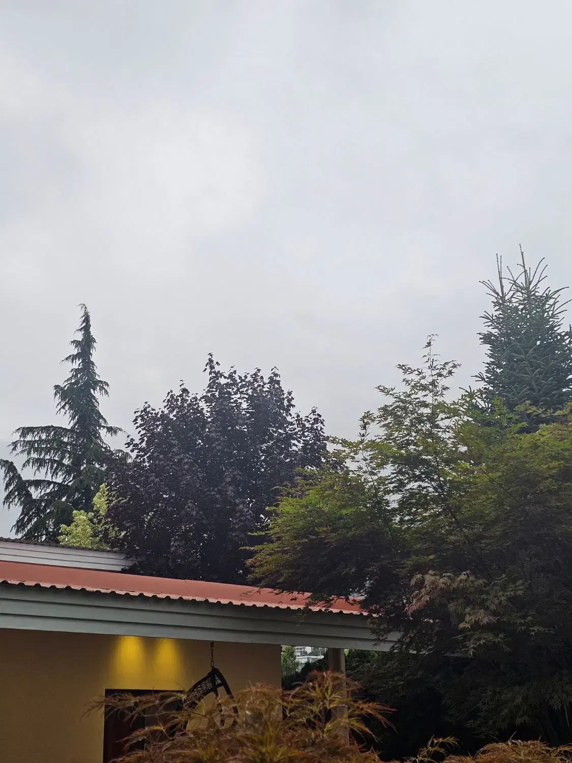 استخدام سرایدار برای کلاردشت|استخدام سرایداری و نظافت|کلاردشت, |دیوار