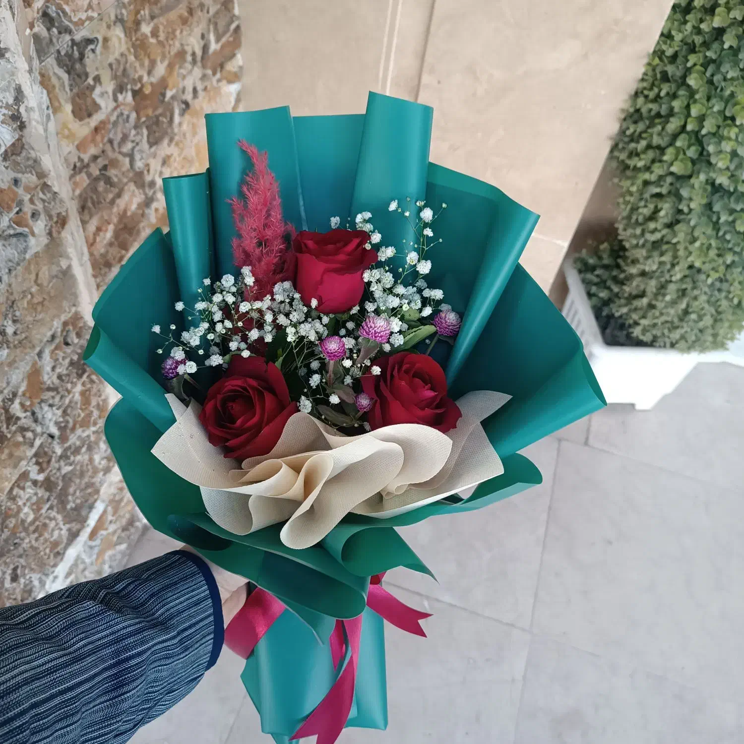 گل رز طبیعی|گل و گیاه طبیعی|مشهد, شهرک بهارستان|دیوار