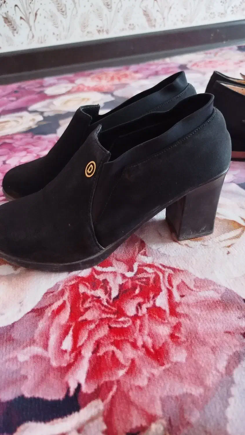 کفش زنانه|کیف، کفش، کمربند|بندرعباس, |دیوار