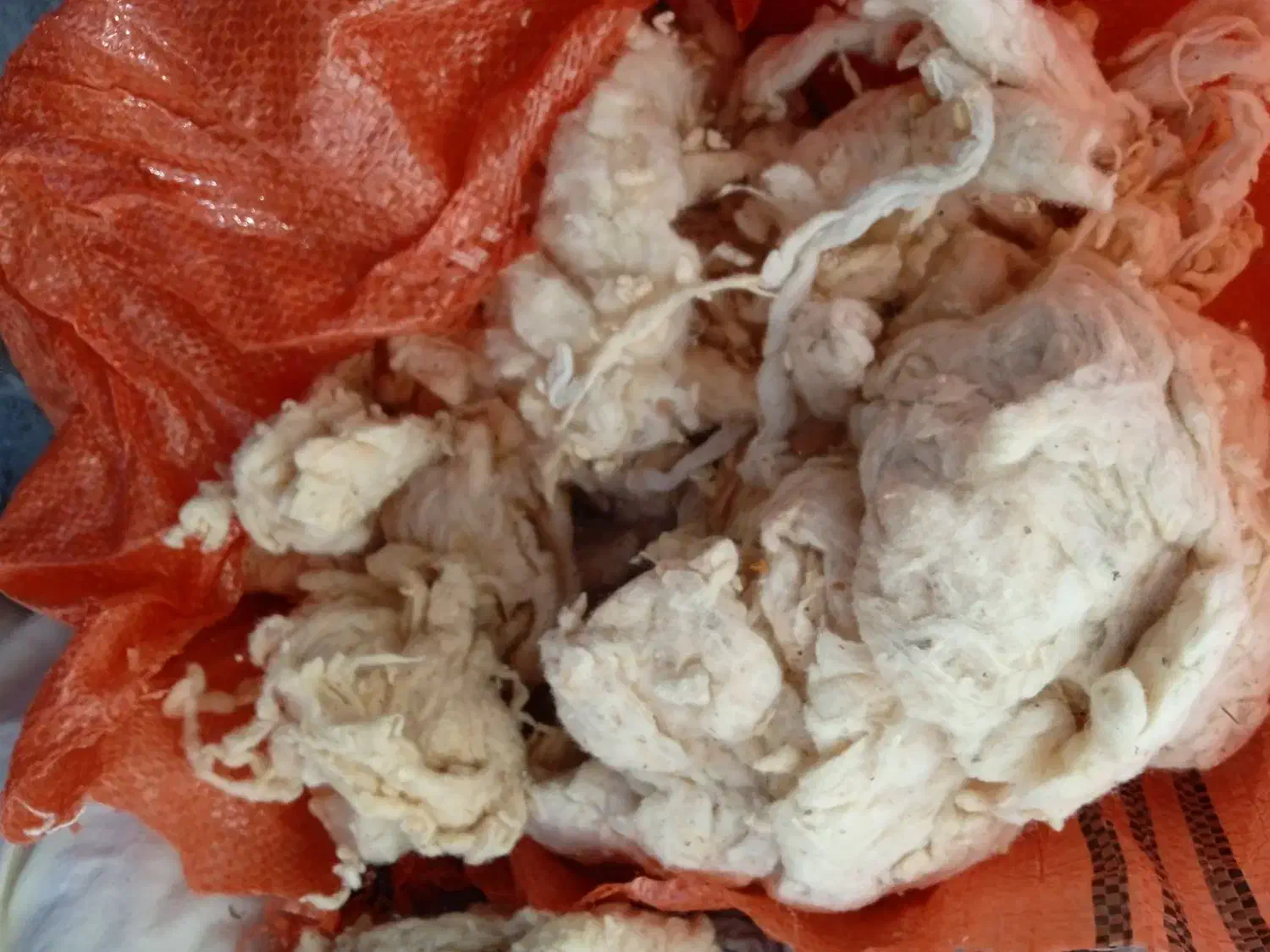 پنبه|رختخواب، بالش، پتو|شیراز, بازار|دیوار