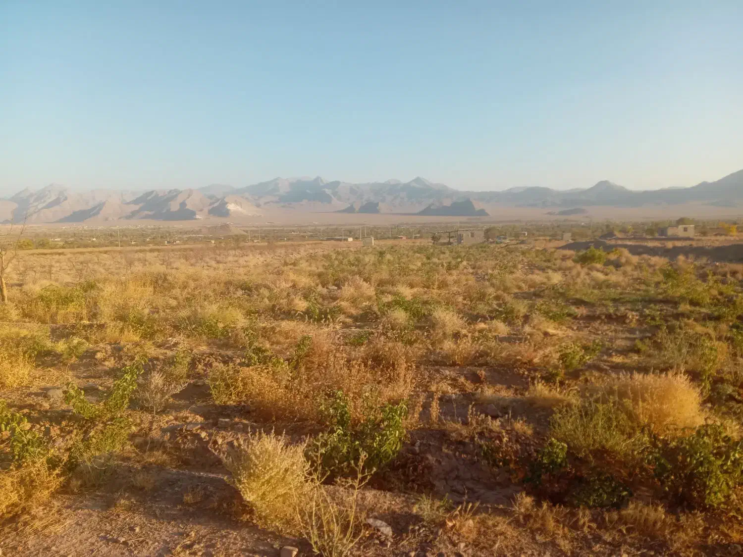 زمین فروشی|فروش زمین و ملک کلنگی|برزک, |دیوار