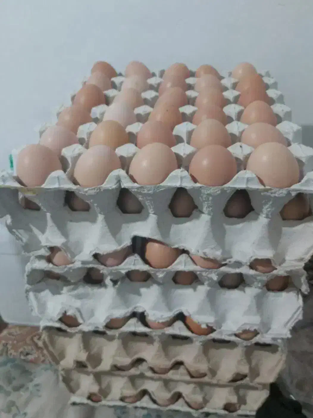 تخم مرغ محلی گلپایگانی|خوردنی و آشامیدنی|تهران, آشتیانی|دیوار