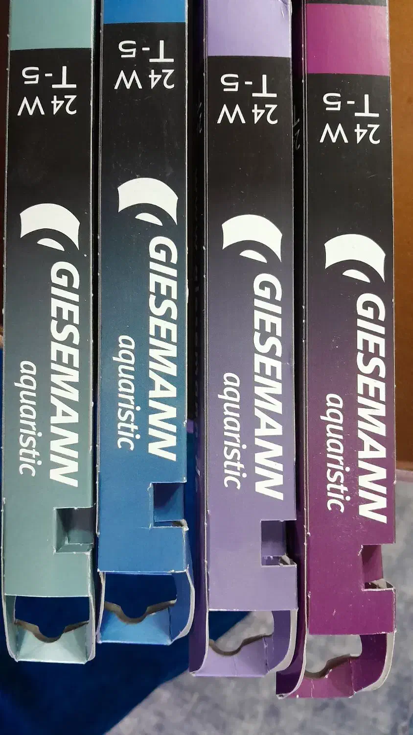 مهتابی جیسمان اب شور و محلول ریف ماسل|ماهی|اصفهان, صائب|دیوار