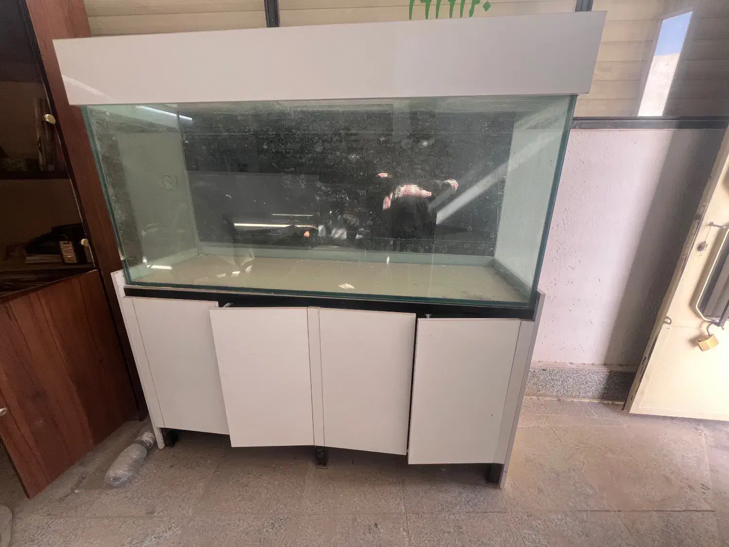 اکواریوم|ماهی|سمنان, |دیوار