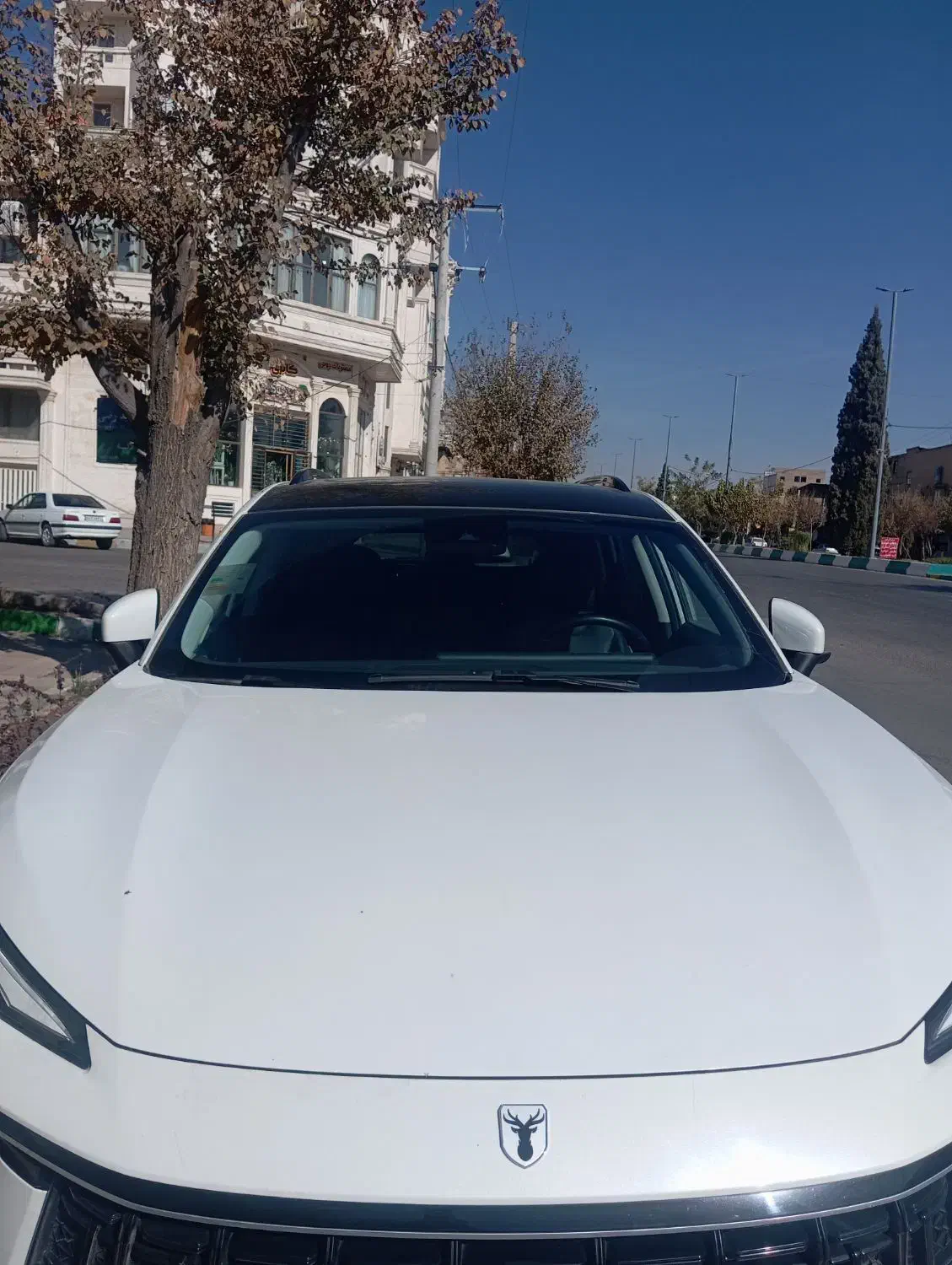 لاماری مدل 1401کم کار 38|خودرو سواری و وانت|سیرجان, |دیوار