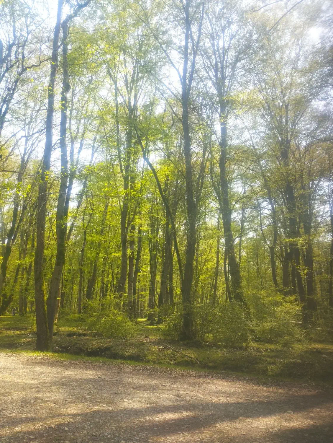 حج‌عمره|تور و چارتر|فولادشهر, فولادشهر|دیوار