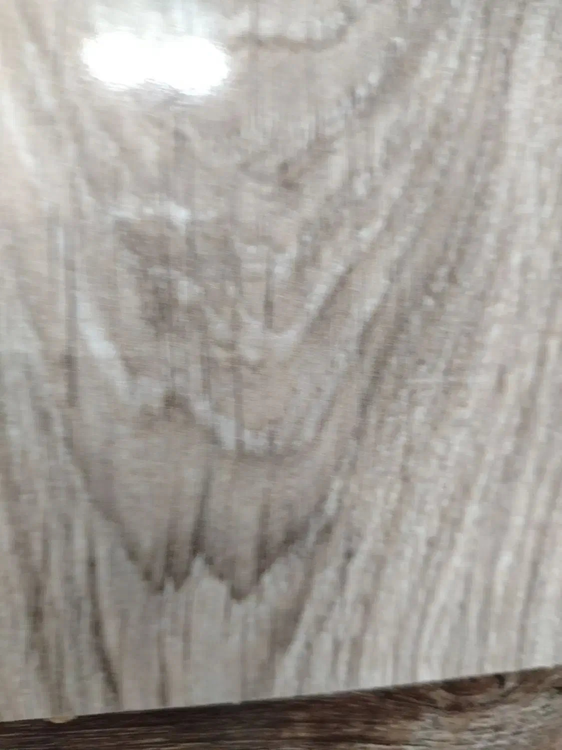 مدارک گم شده به نام هادی ملایی|اشیا|سبزوار, چهارراه فرودگاه|دیوار