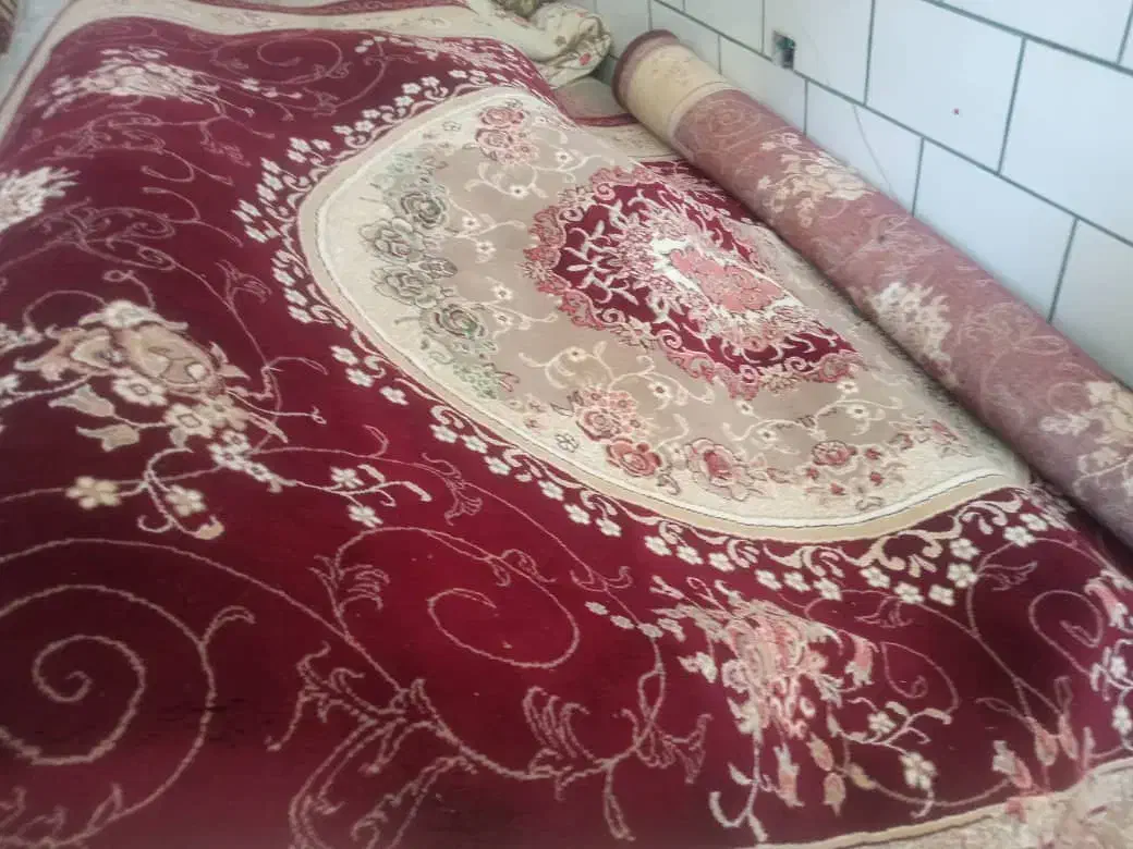 قالی ۲×۳|فرش|کرمان, |دیوار