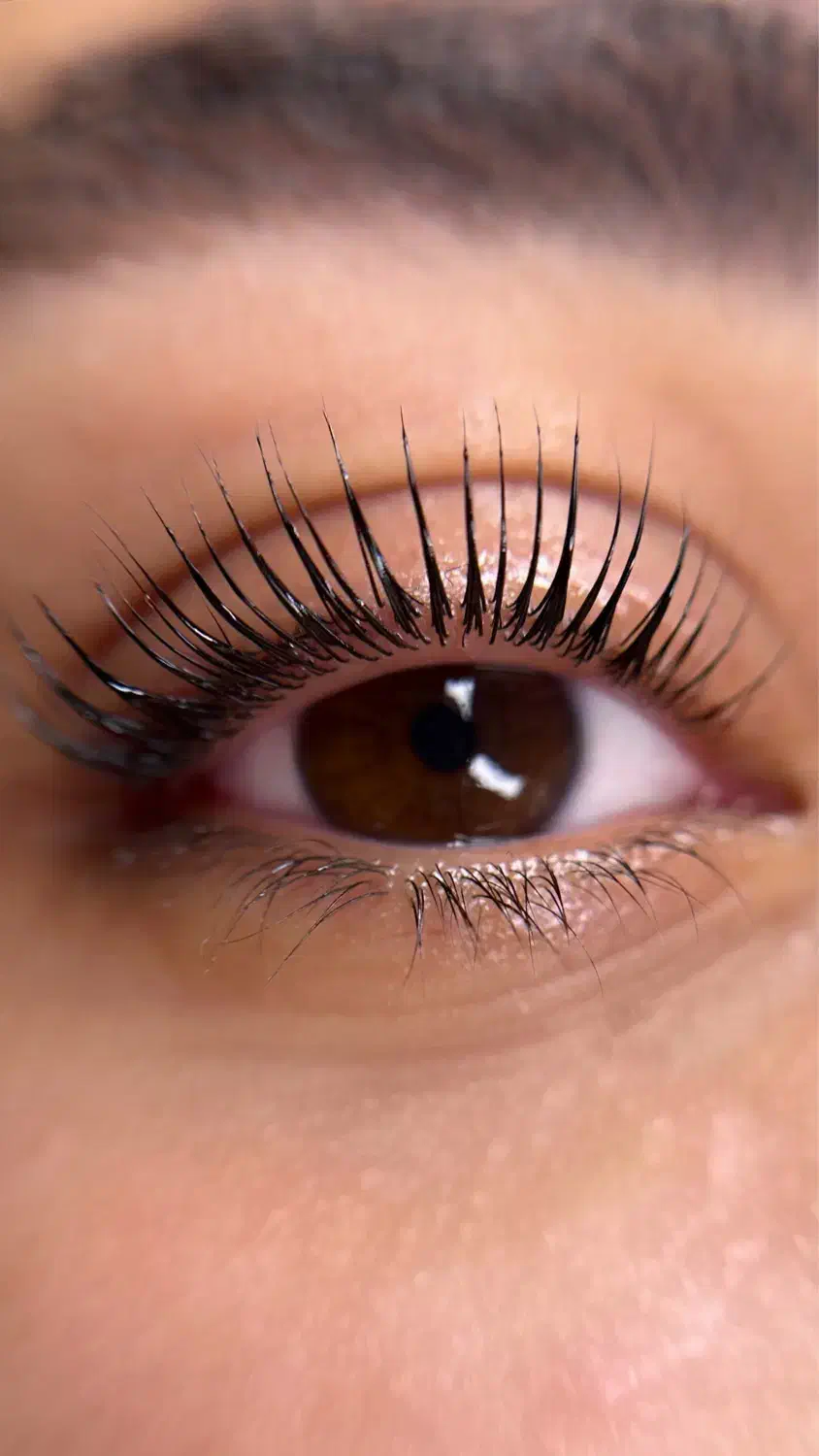 مدل لیفت مژه|خدمات آرایشگری و زیبایی|رشت, دیلمان|دیوار