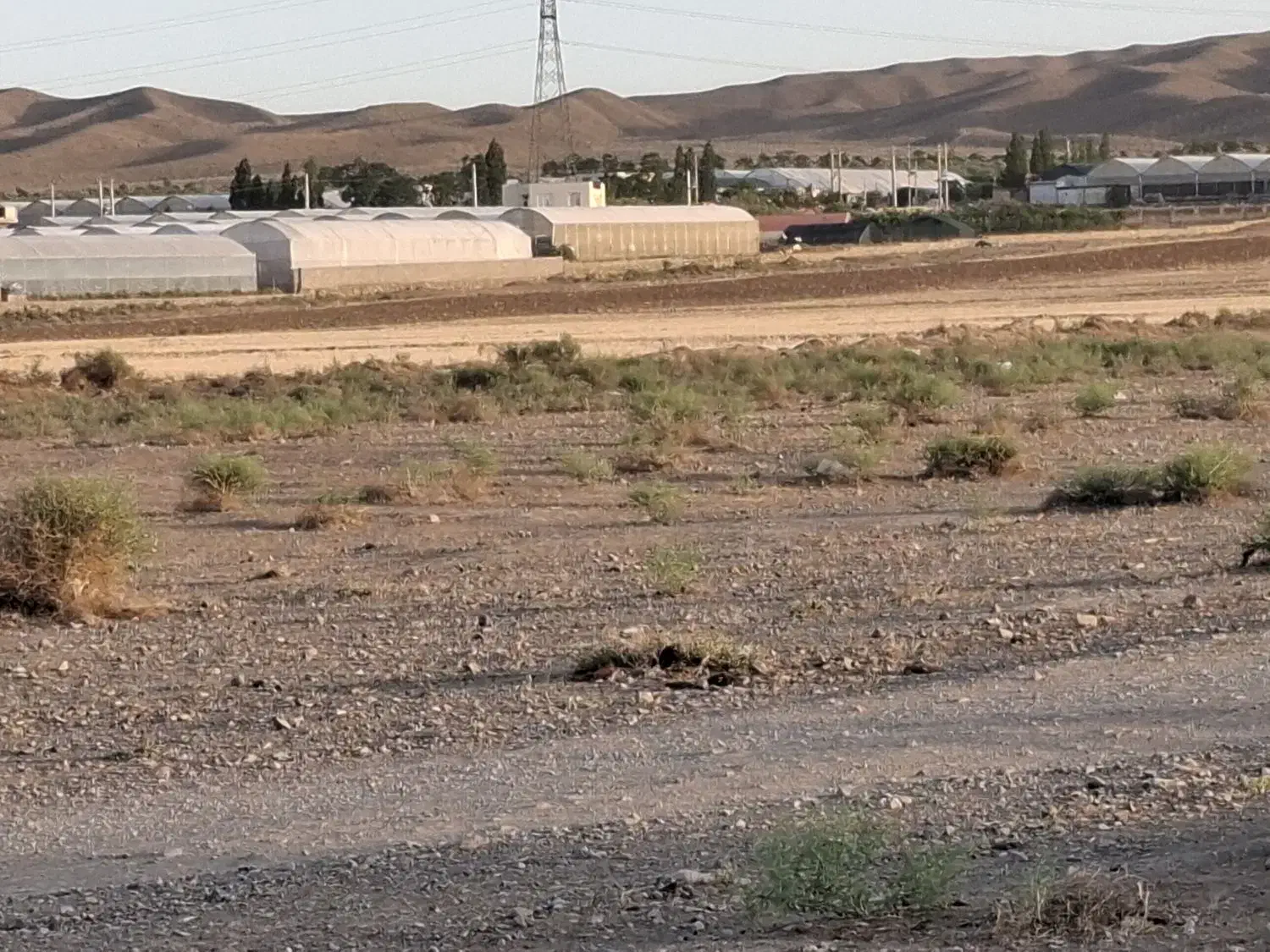 ملک فروشی آوه جنب فاز2گلخانه ها|فروش زمین و ملک کلنگی|قم, شاه ابراهیم|دیوار