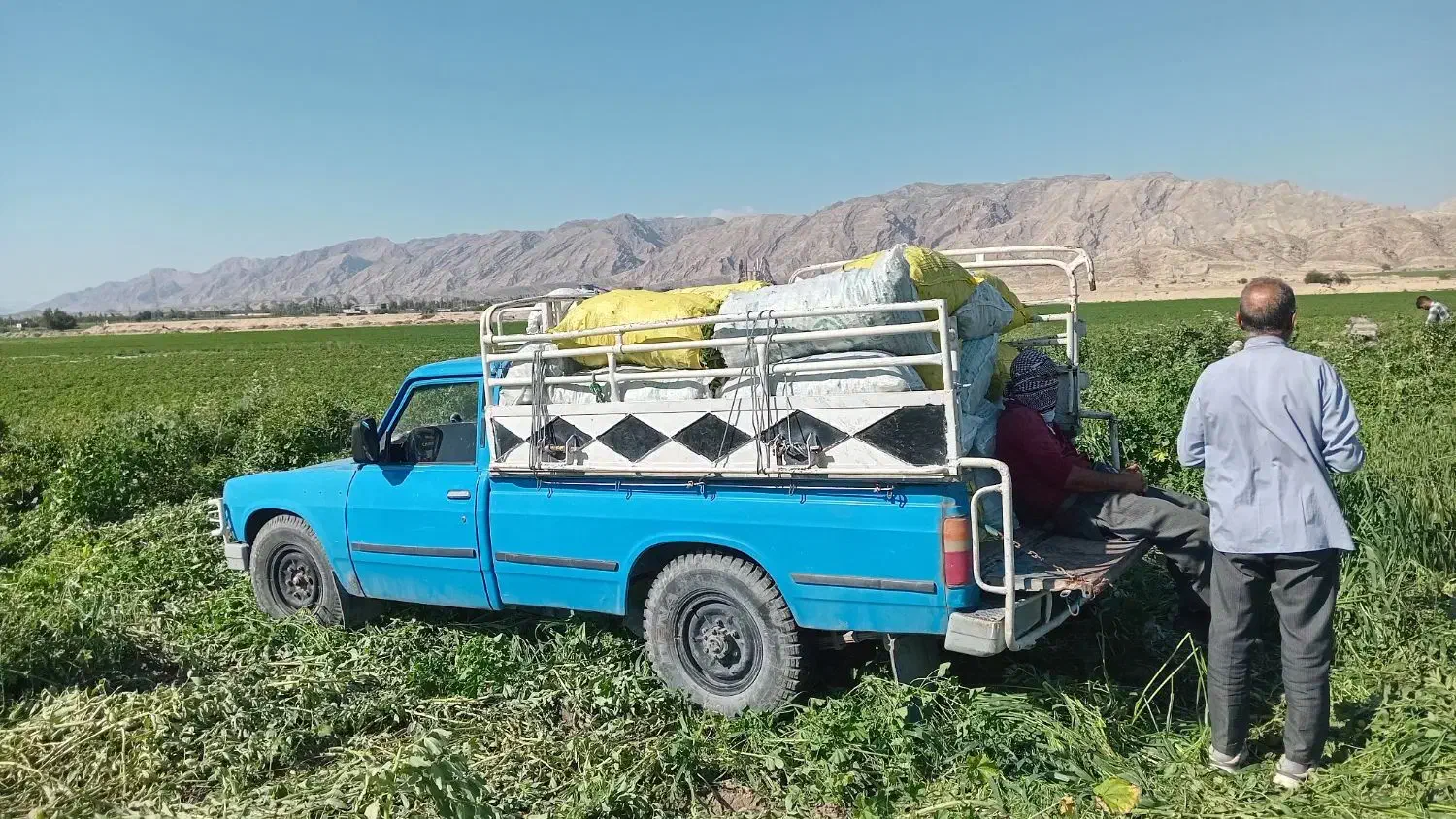 نیسان وانت سایپا|خودرو سواری و وانت|بهبهان, |دیوار