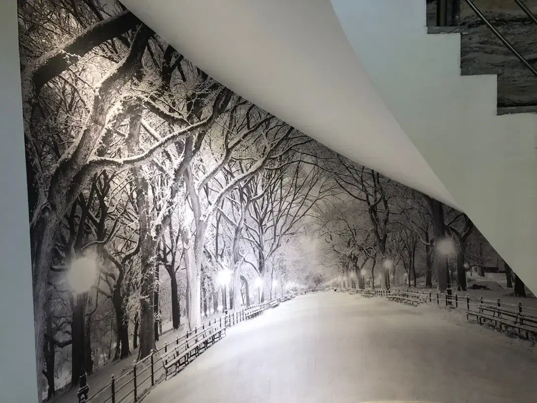 کاغذ دیواری ، چمن ، پوستر|خدمات پیشه و مهارت|نوشهر, |دیوار