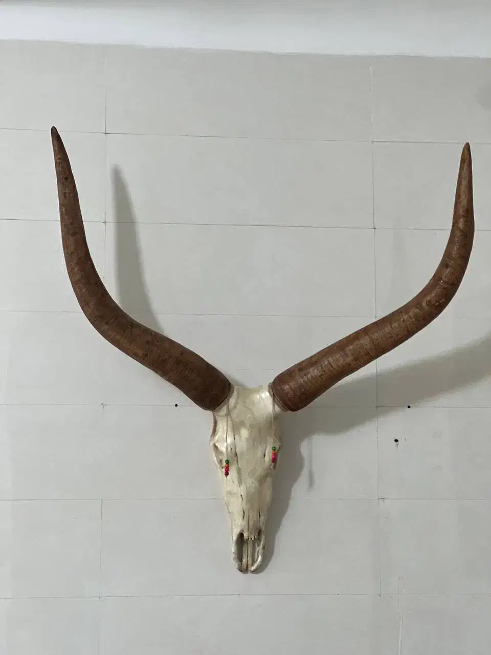 مجسمه دیواری|مجسمه، تندیس، ماکت|مریوان, |دیوار