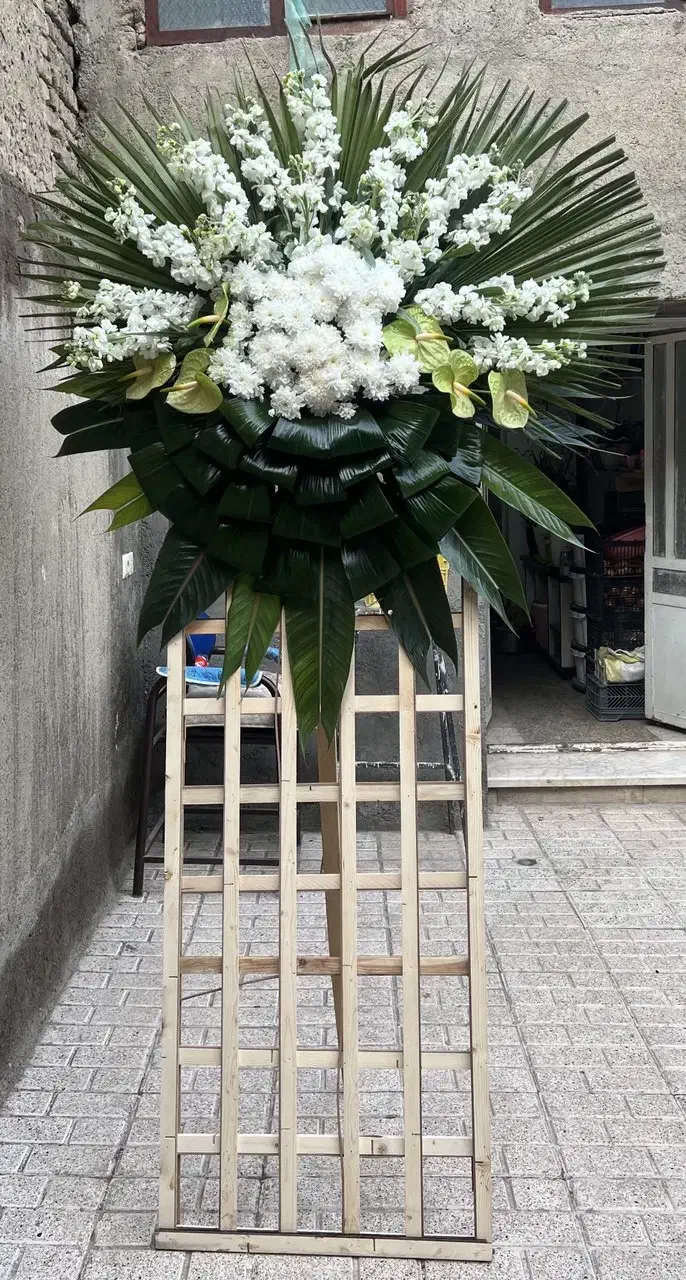 تاج گل|گل و گیاه طبیعی|مشهد, شهید قربانی|دیوار