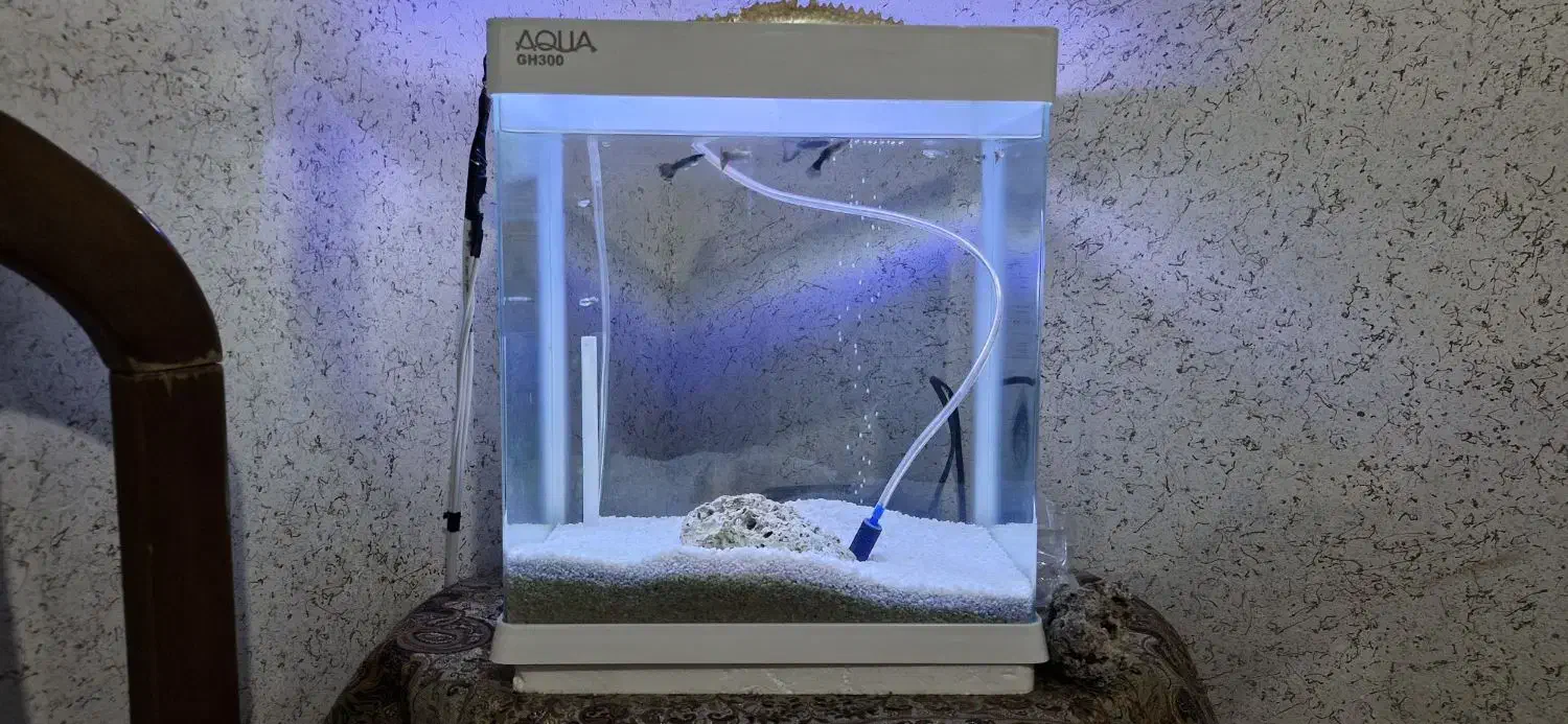 اکواریوم به همراه ماهی|ماهی|فولادشهر, مسکن مهر فولادشهر|دیوار