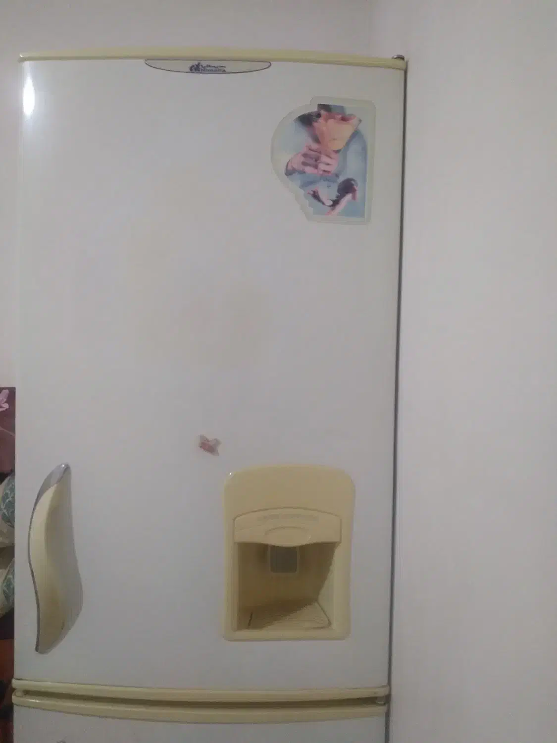 یخچال هیمالیا|یخچال و فریزر|بومهن, |دیوار