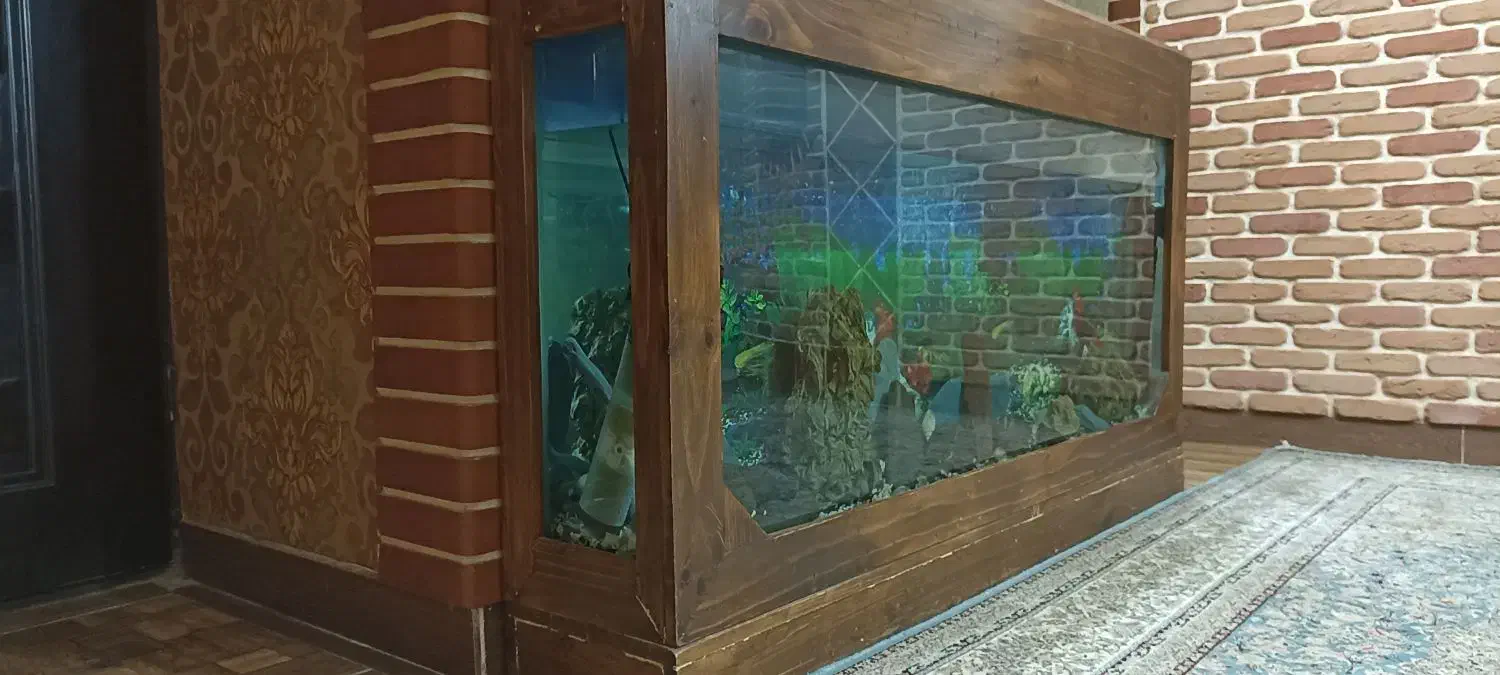 آکواریم بزرگ با میز|ماهی|صباشهر, |دیوار