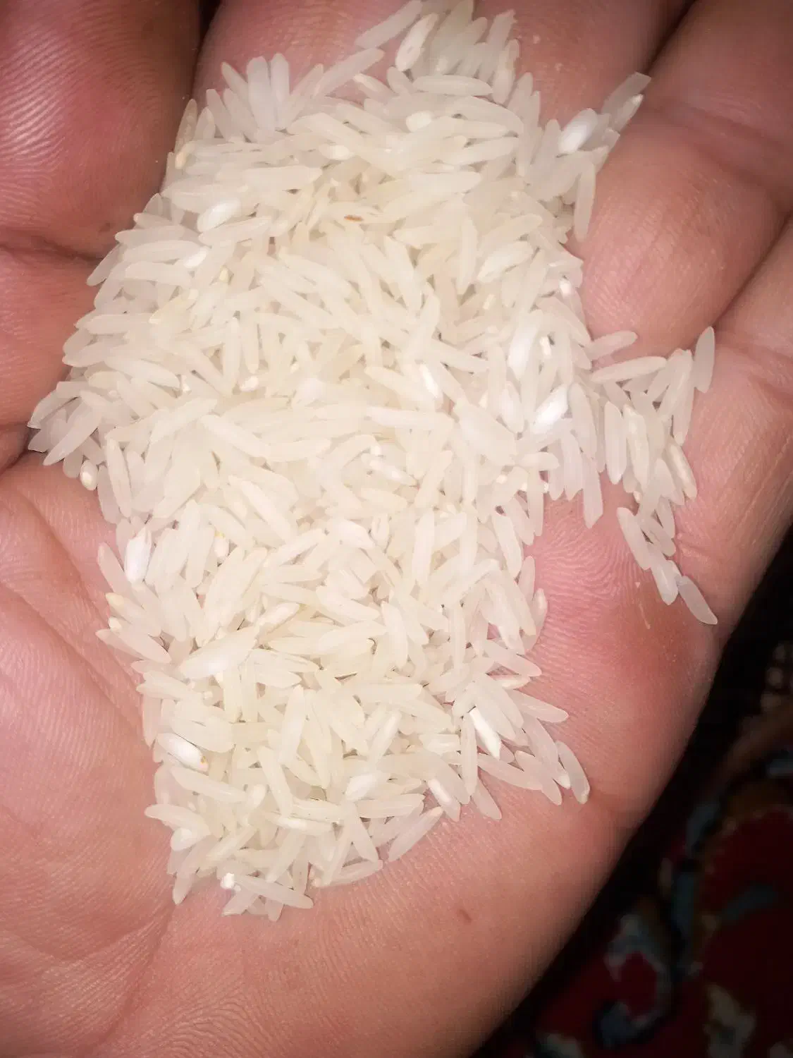 طارم|خوردنی و آشامیدنی|کردکوی, |دیوار